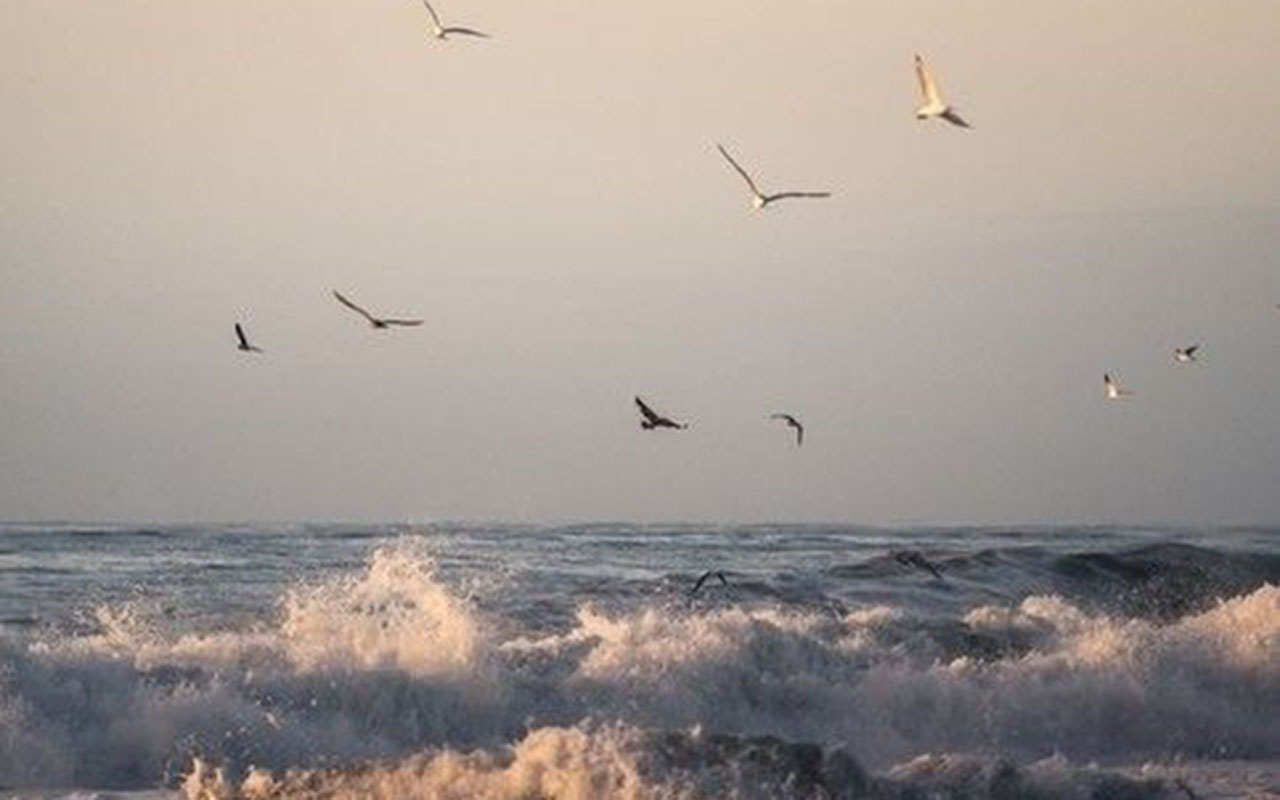 Тривожність: як позбутися тривоги?
